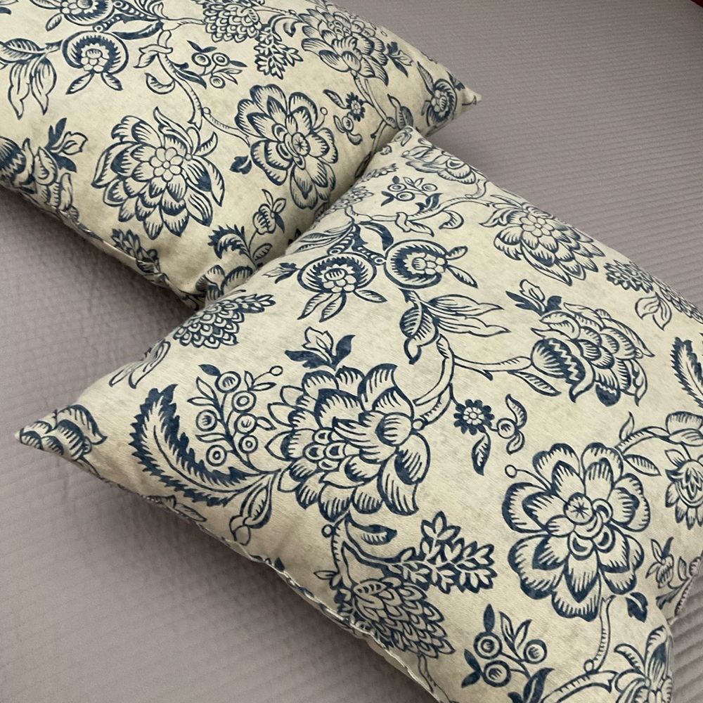 Two overstuffed accent pillows